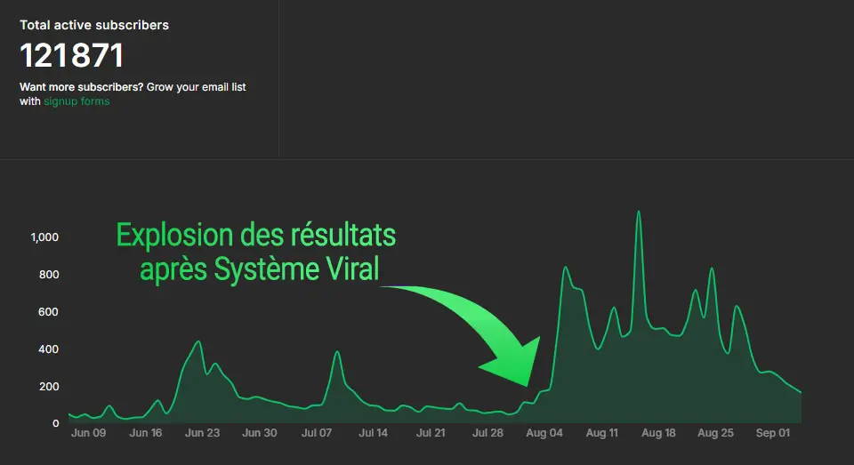 Résultats email Système Viral - 20 000 emails en 30 jours